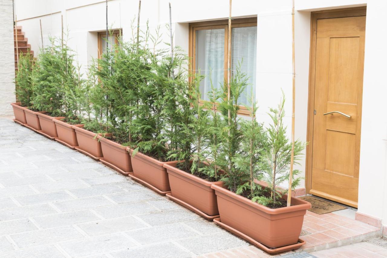 Monsummano Terme B&B Cava Rossa מראה חיצוני תמונה
