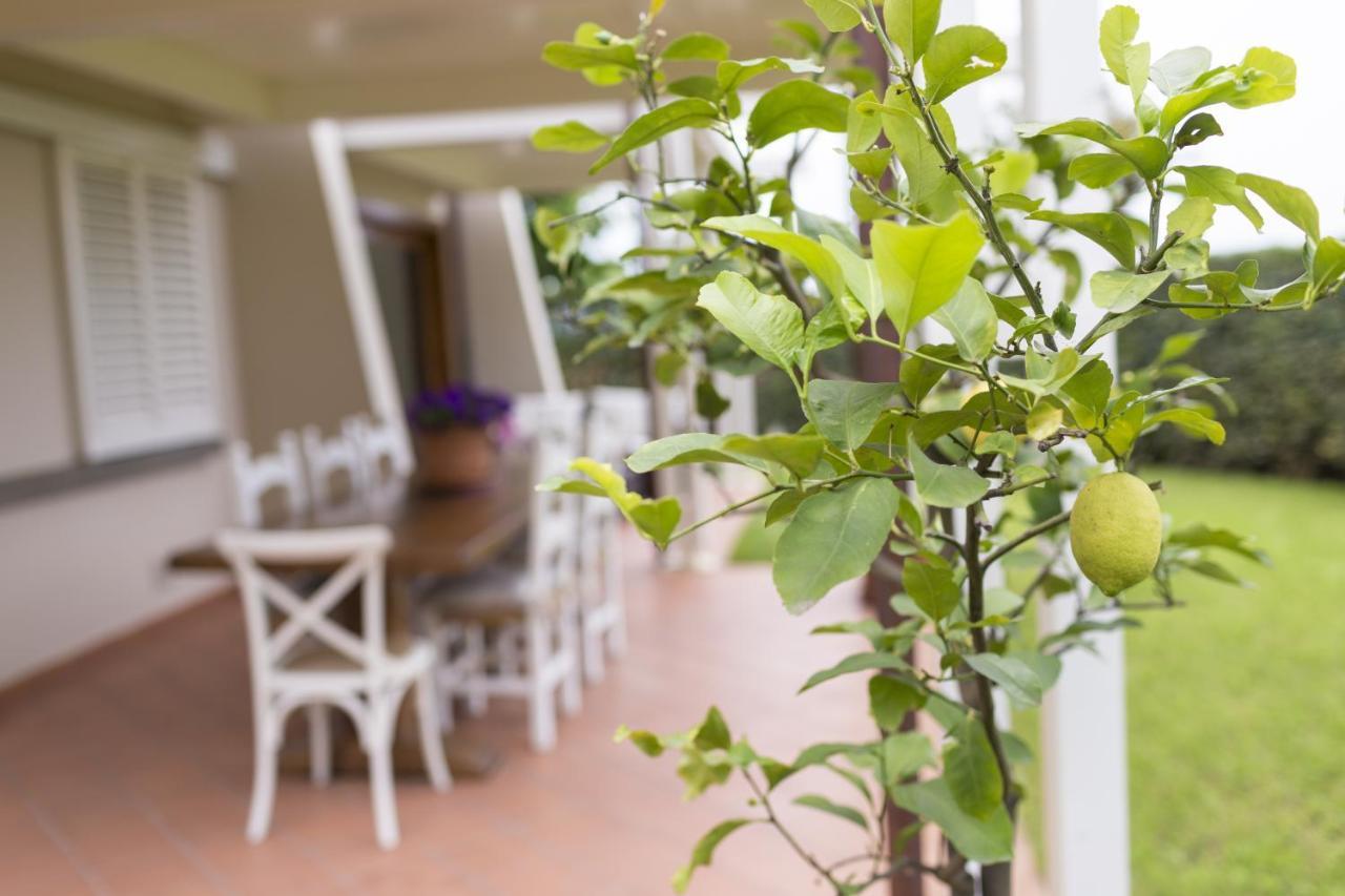 Monsummano Terme B&B Cava Rossa מראה חיצוני תמונה